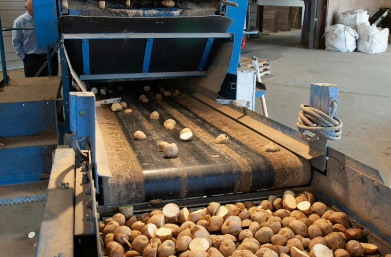 Potato based processing line